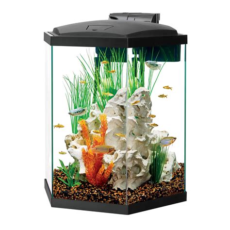 10 gallon hex tank|10 gallon fish tanks.